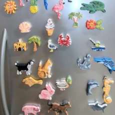 Fridge Magnets