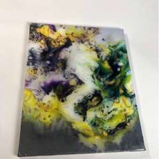 Silverback #213 Print #2