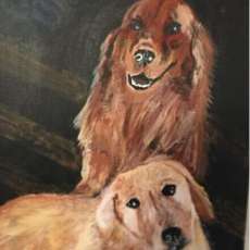 Golden and Yellow Lab