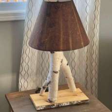 Lamp With Shade