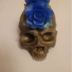 Blue Flower Skull