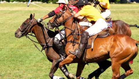 Gold's Dragoons Charity Polo Match