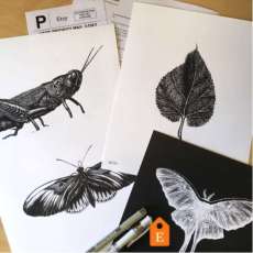 A Few Pieces From My Collection