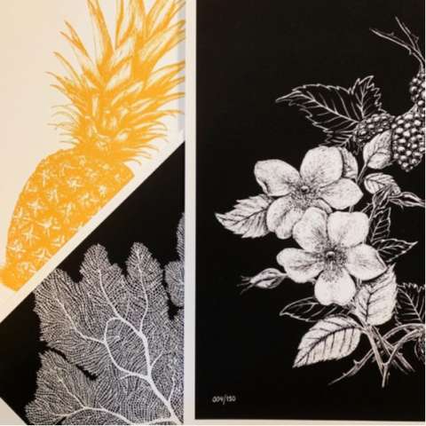 A Few More Prints - All on Museum Etching Hahnemuhle Paper
