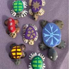 Rock Turtles