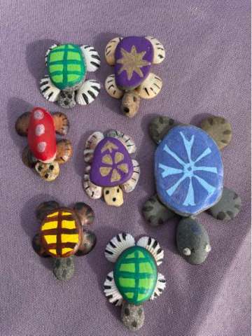 Rock Turtles