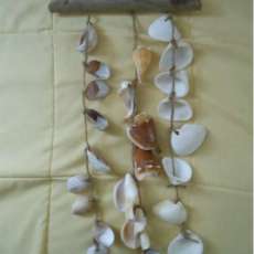 Shell Chimes