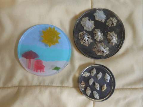 Shell Inspired Magnets