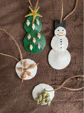 Sand Dollar, Shell and Starfish Christmas Tree Ornaments