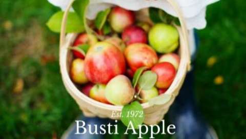 Busti Apple Festival