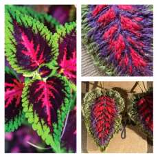 Coleus Leaf Earrings