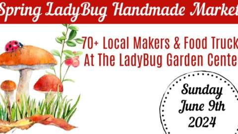 Spring Ladybug Handmade Market