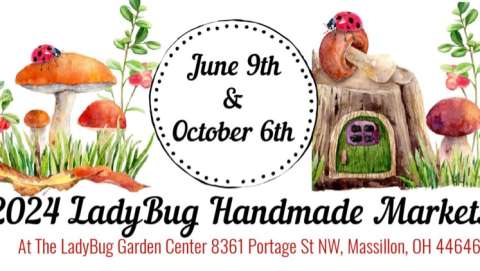 Fall Ladybug Handmade Market