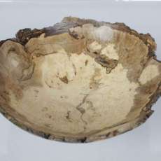 Natural Edge Maple Burl.