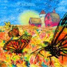 Field of Butterflies