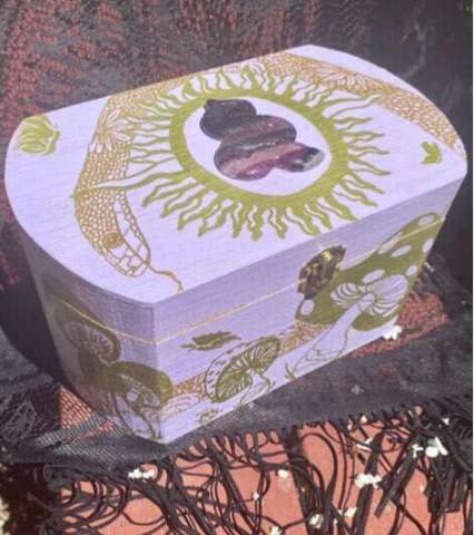 Snake and Mushroom Box