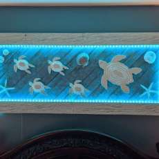 Small & Medium Turtles