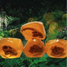 Our Novelty Dinosaur Soaps