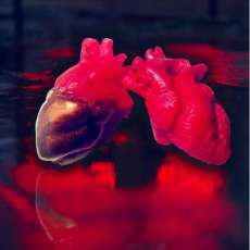 Our Novelty Anatomical Heart Soaps For Valentine's Day