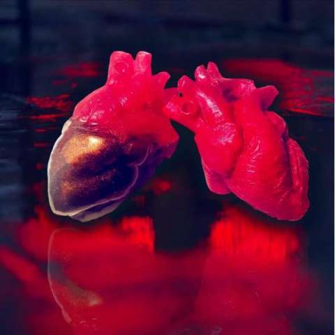 Our Novelty Anatomical Heart Soaps For Valentine's Day