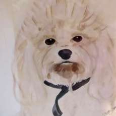 Watercolor Pet Portraits