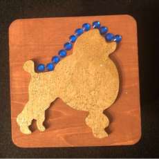 Poodle Halo Box