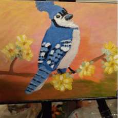 Bluejay