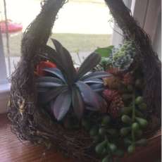 Succulent Basket