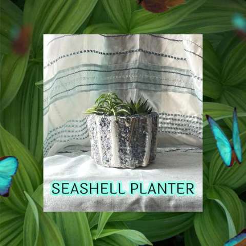 Handmade Razor Clam Seashell Planter