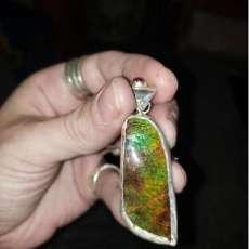 Ammolite in Silver