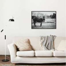 Daisy the Donkey Mockup