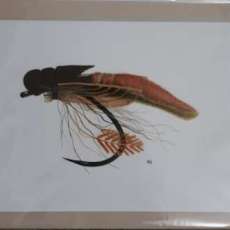 12x16 Giclee Print of Extended Woven Caddis