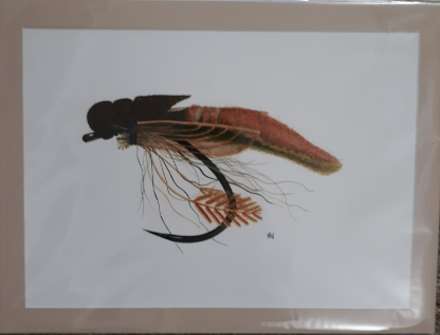 12x16 Giclee Print of Extended Woven Caddis