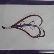 12x16 Giclee Print of the Purple Heart Fly