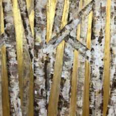 Golden Birches