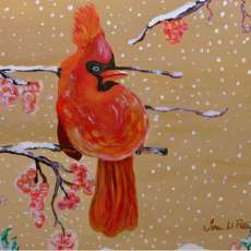 Winter Cardinal
