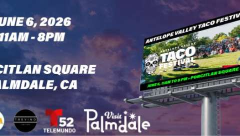 Taco Festival