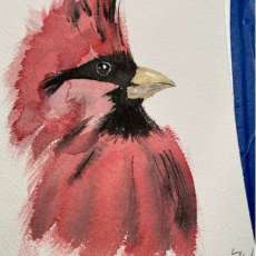 Cardinal