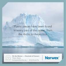 Plastic Pieces Found