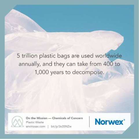 Plastic Bags and the Environment