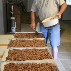 Troy Making the Roasted Pecans