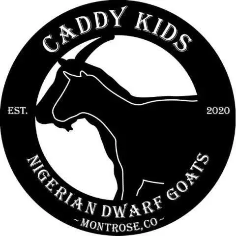 Corry Caddy