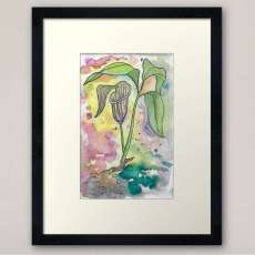 Jack in the Pulpit Art Print