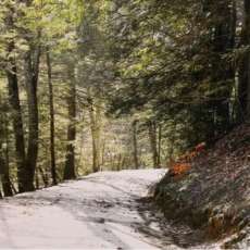 Change Is Around the Corner