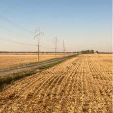 Nebraska Corn Fields