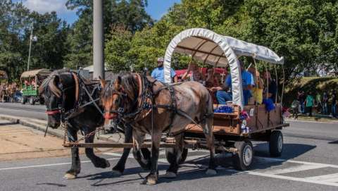 Winfield Mule Day