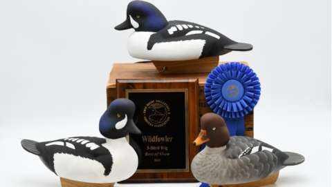 Forty-Seventh Vintage Decoy and Wildlife Art Show and S