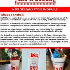 What Is a Sno Ball?