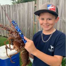 NEW CAMO Lobster Gauge