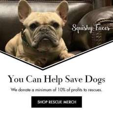 Clothing For Dog Lovers